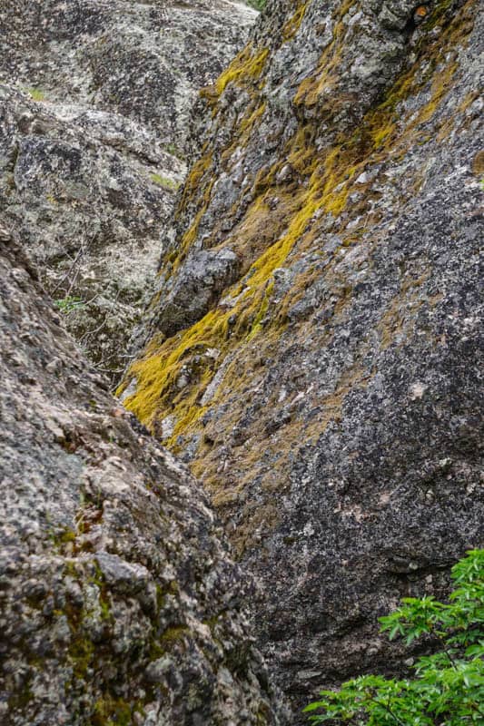 Lichen growing on rocks Pinnacles NP California