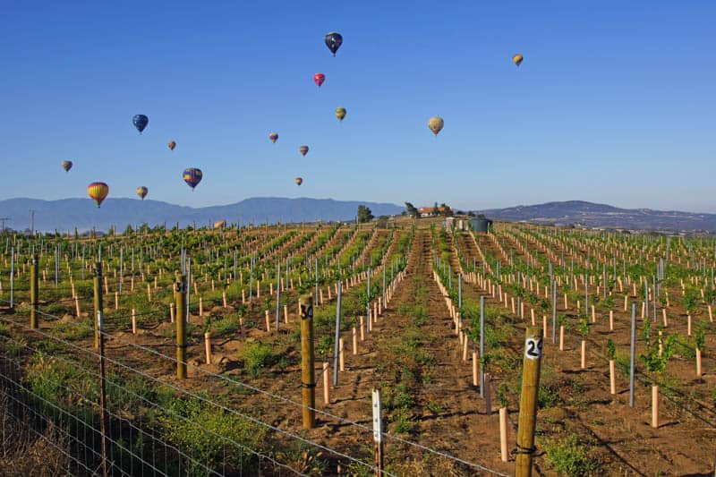 Balloons in Temecula Valley California