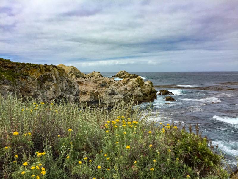 Beautiful view at Point Lobos State Natural Reserve