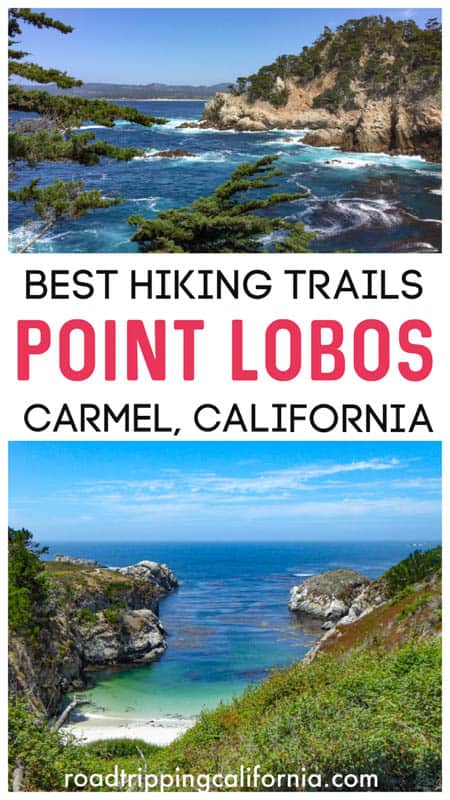 Discover the 6 best trails to hike at Point Lobos State Park in Carmel California! With beautiful views, wildflowers in season, and birds and animals to spot, you will love walking these trails: solo, as a couple, or with your family!