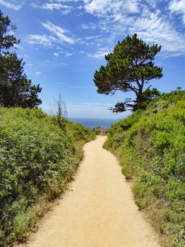 Bird Island Trail Point Lobos Carmel California