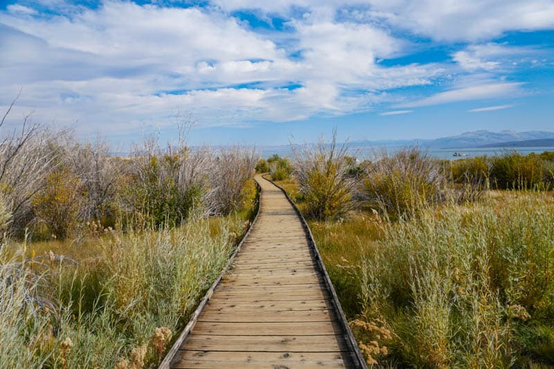 Boardwalk Trail Mono Lake Lee Vining California