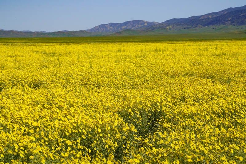 Carrizo Plain National Monument California USA