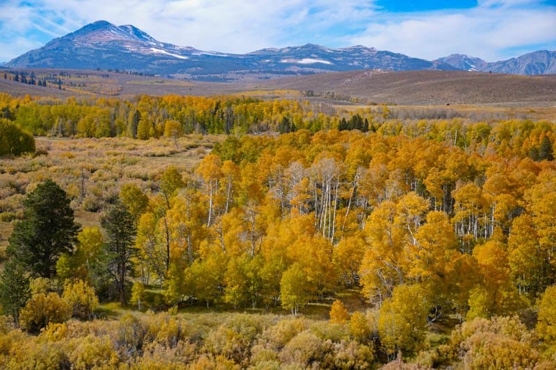 Conway Summit Eastern Sierra California