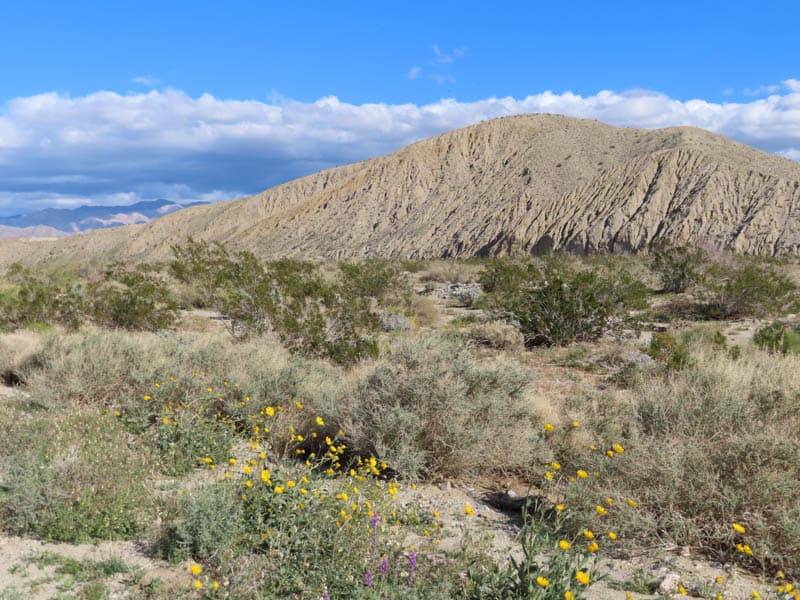 Desert near Palm Springs California