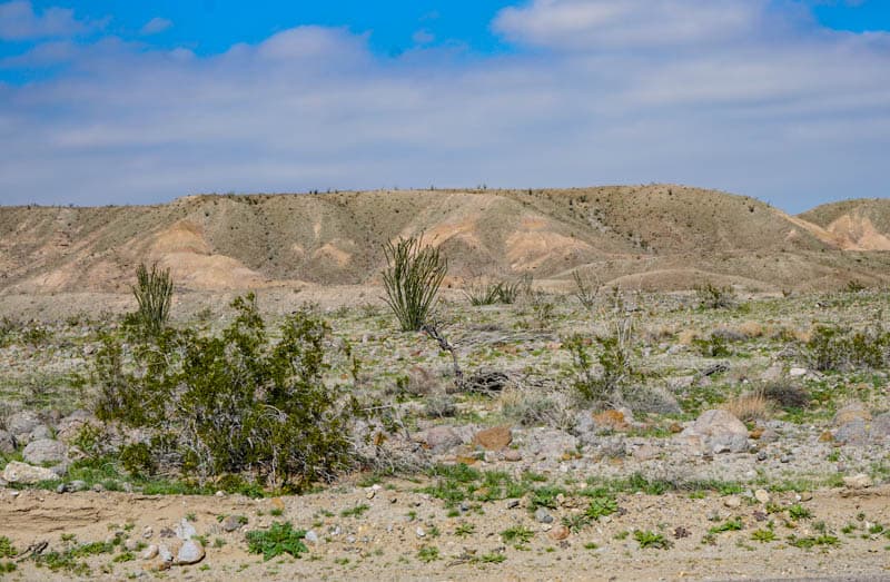 Desert vista in Anza-Borrego State Park in Southern California
