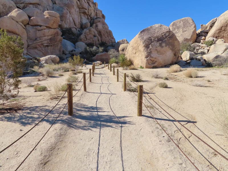 Tips-for-Hiking-the-Hidden-Valley-Trail-in-Joshua-Tree-National-Park