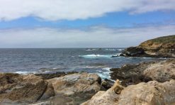 Point Lobos Hiking: Top 6 Trails to Hike at the California Coastal Park!