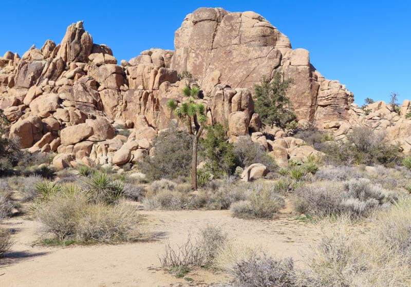 Rock formations Hidden Valley Joshua Tree NP California