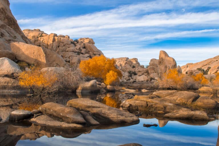 Barker Dam in Joshua Tree NP, one of the Best Day Trips from Los Angeles California