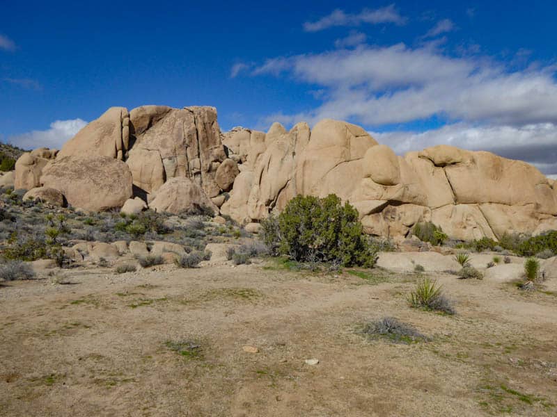 Joshua Tree National Park in Southern California