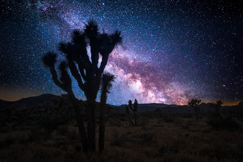 Milky Way Joshua Tree NP California