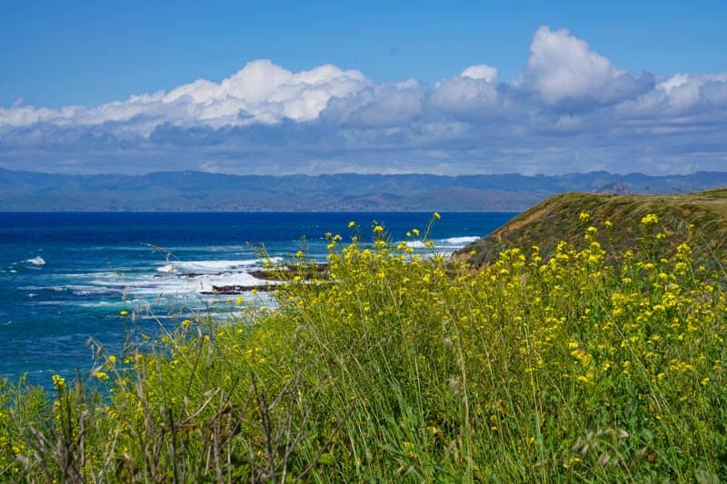 View from Bluff Trail Montana de Oro State Park Los Osos California