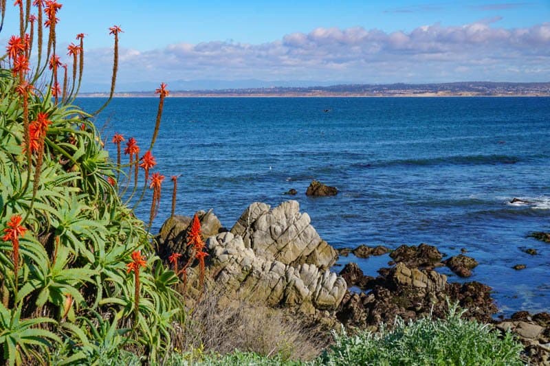 Pacific Grove in California USA