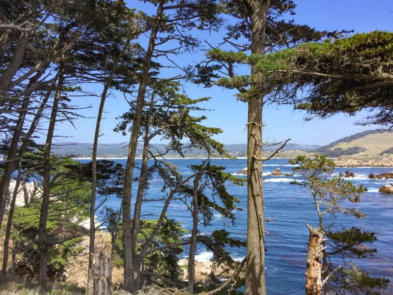 Pacific Ocean from Cypress Grove Trail in Point Lobos