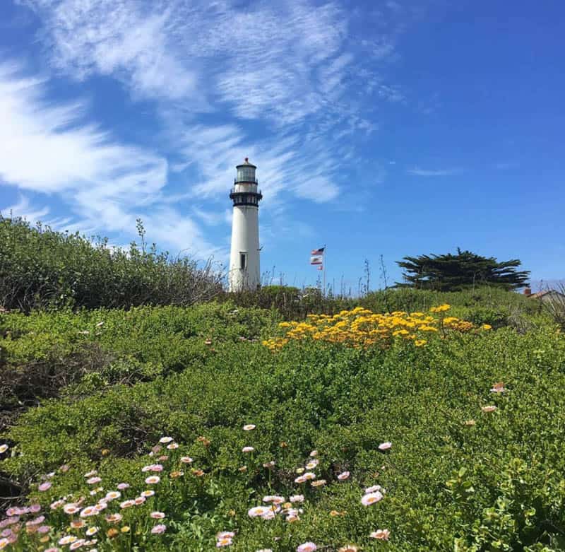 Pigeon Point Lighthouse State Park California
