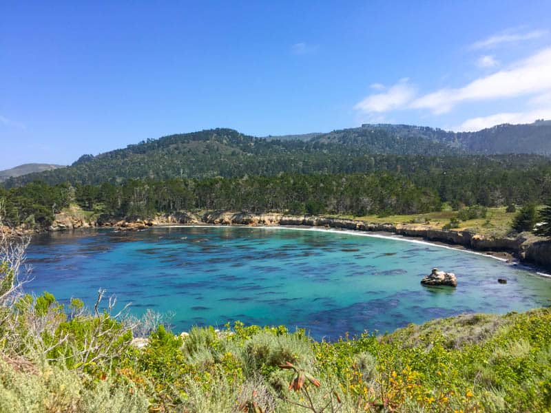 Point Lobos State park Northern Section Carmel California