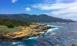 Point Lobos State Reserve, Carmel: Why You Should Visit (+ Tips)