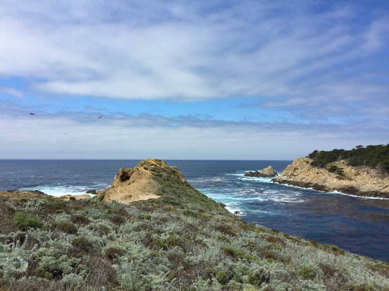 Summer at Point Lobos State Park in Carmel