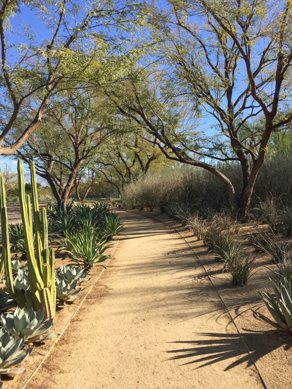 Sunnylands Desert Garden in Rancho Mirage California