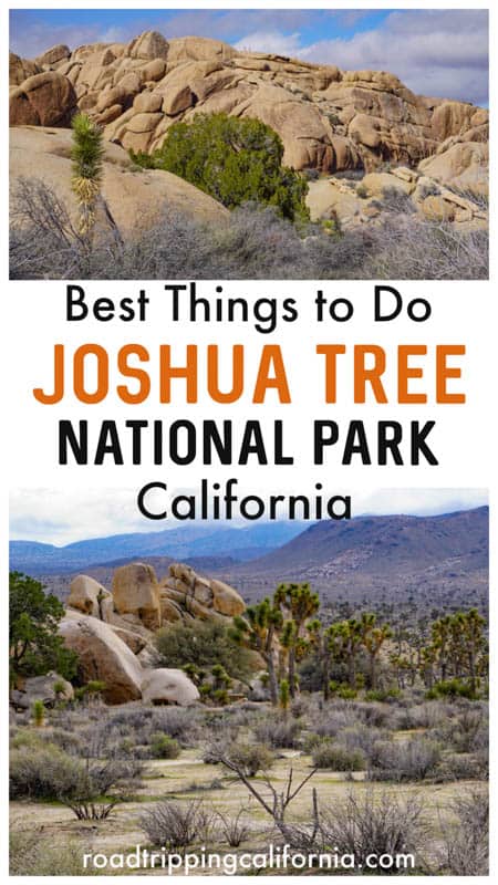 From hiking and photography to sunsets and rock climbing, discover the best things to do in Joshua Tree National Park in Southern California!