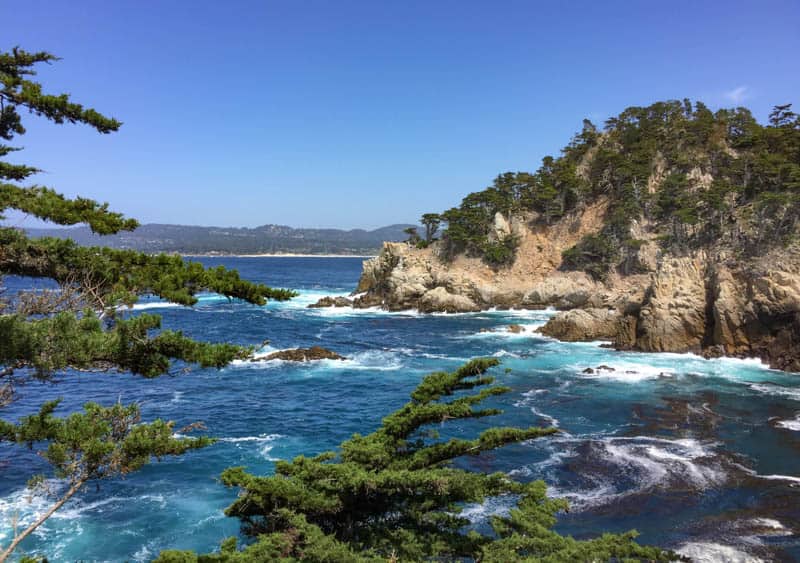 View from North Shore Trail Point Lobos State park