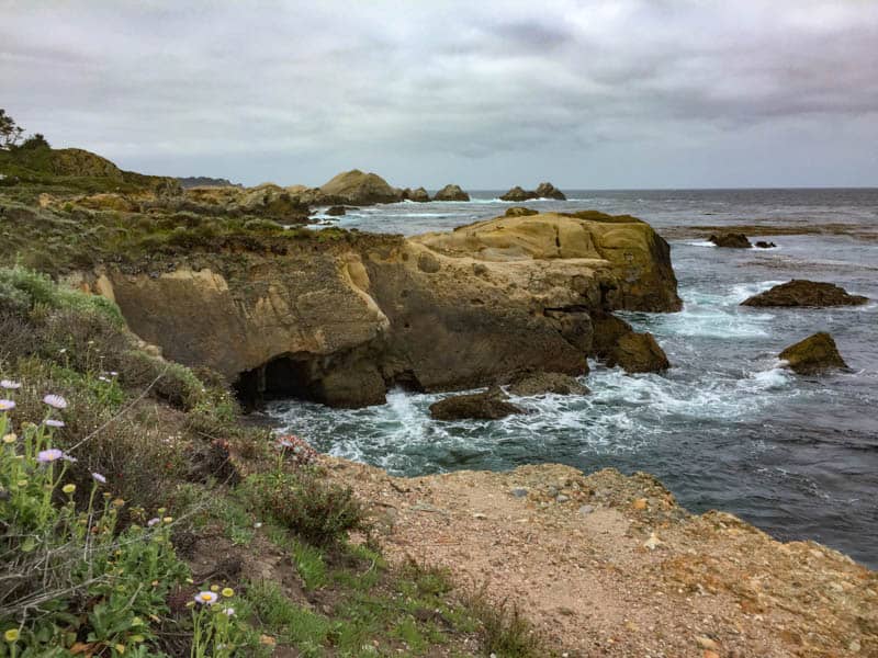 View from South Shore Trail in Point Lobos