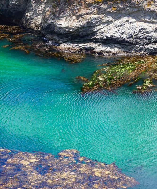 Waters of China Cove Point Lobos Carmel California