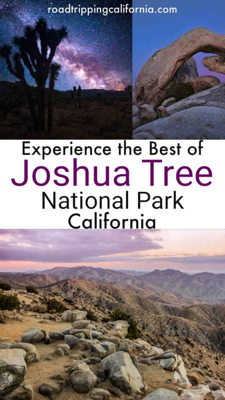 Planning a visit to Joshua Tree National Park? Discover the best hikes, plus other things to see and do including views, photography, climbing and more!