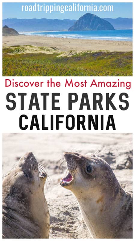 Discover California's bdest state parks, from coastal paradises to lush mountaintops and historic lighthouses! #californiatravel #roadtrippingcalifornia #usatravel