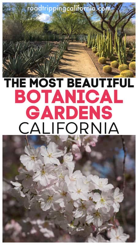 Visit California's stunning botanical gardens to see beautiful plants and tree displays and to learn about native and international plants and flowers! #californiatravel #californiagardens