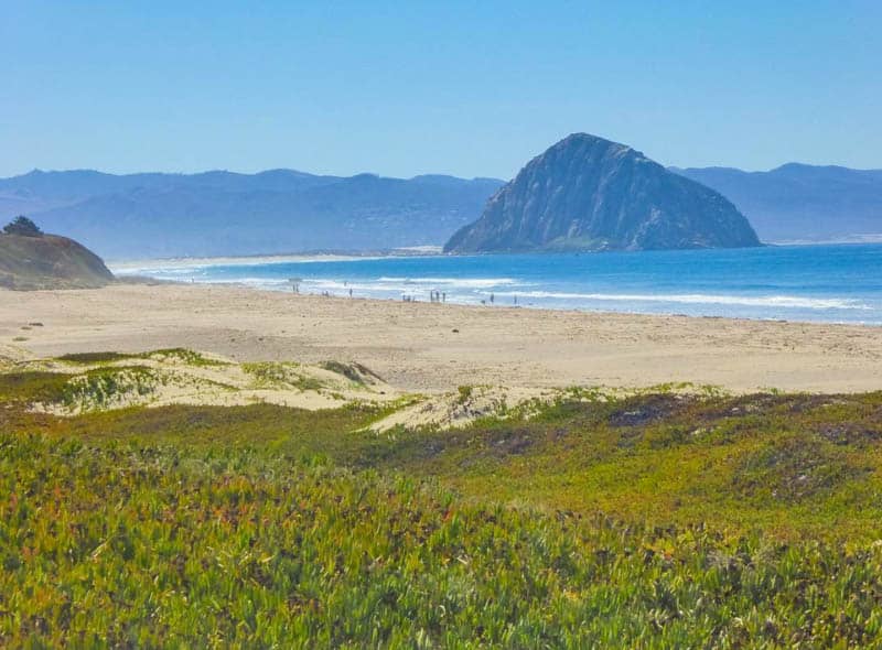 Morro Bay State Park Beach  California