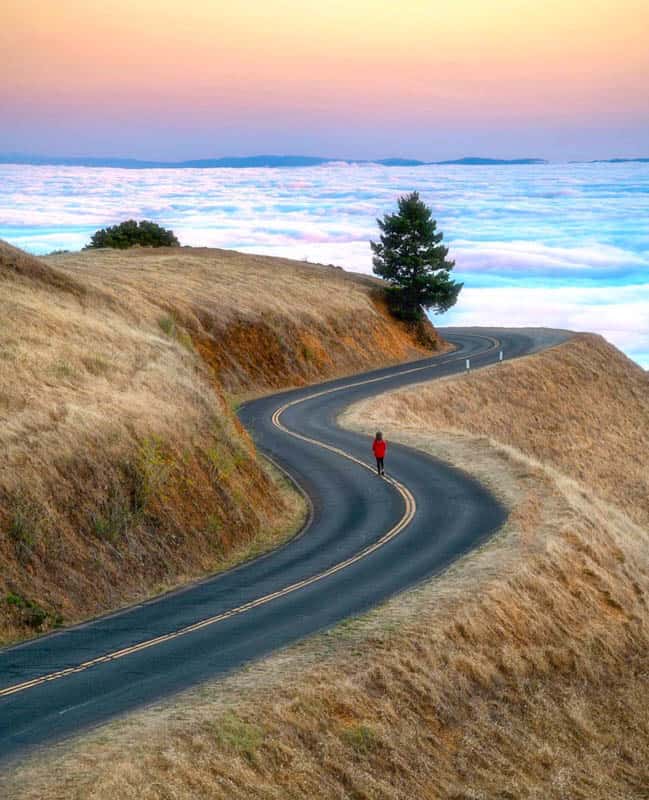 Mt. Tamalpais State Park California