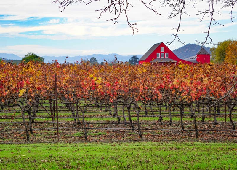 Best Things to Do in Napa Valley Besides Wine!