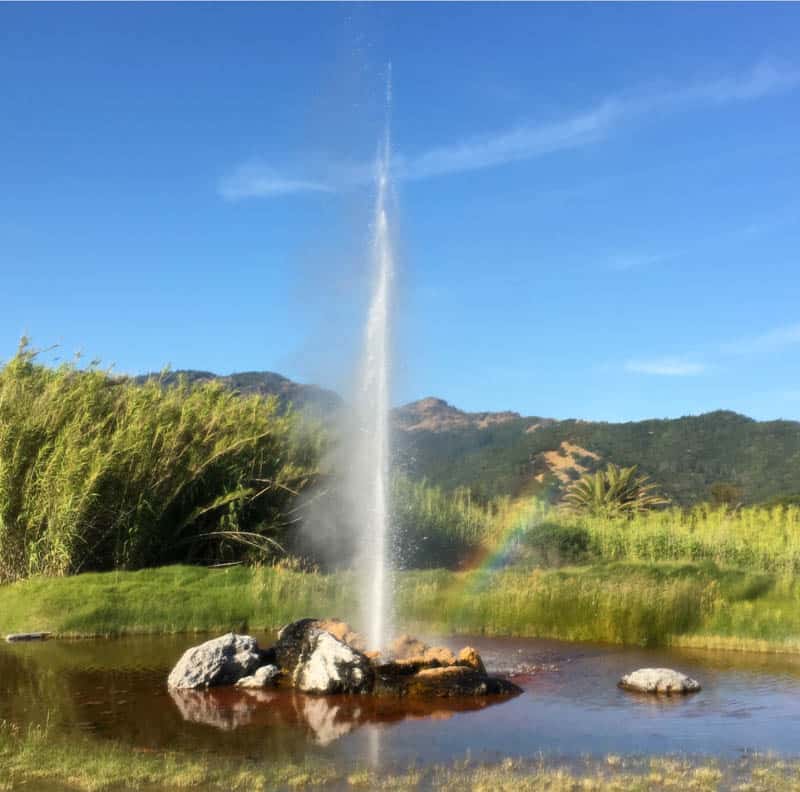 Old Faithful Calistoga California