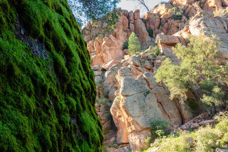 Pinnacles National Park California