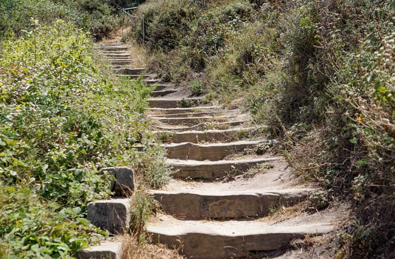 Steps to Bird Island Trail in Point Lobos California
