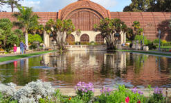 Balboa Park Gardens in San Diego: Why You Must Visit!