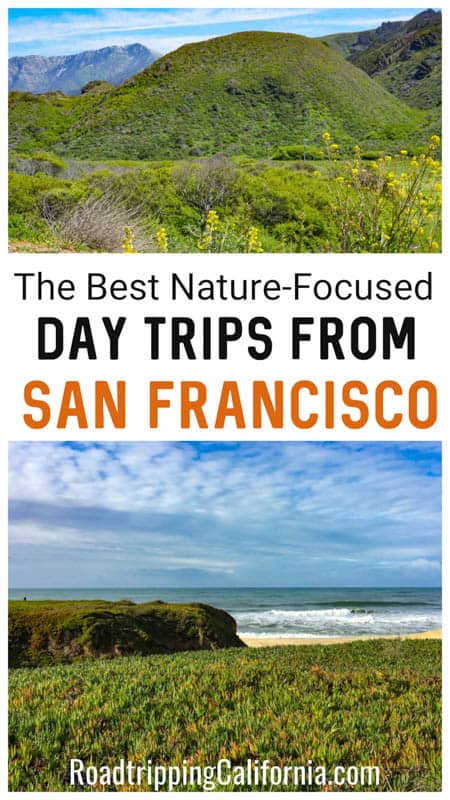 Discover the best nature-focused day trips from San Francisco! Enjoy hiking, beach time, scenic drives, and wildlife viewing to the north, east, and south of the City by the Bay!