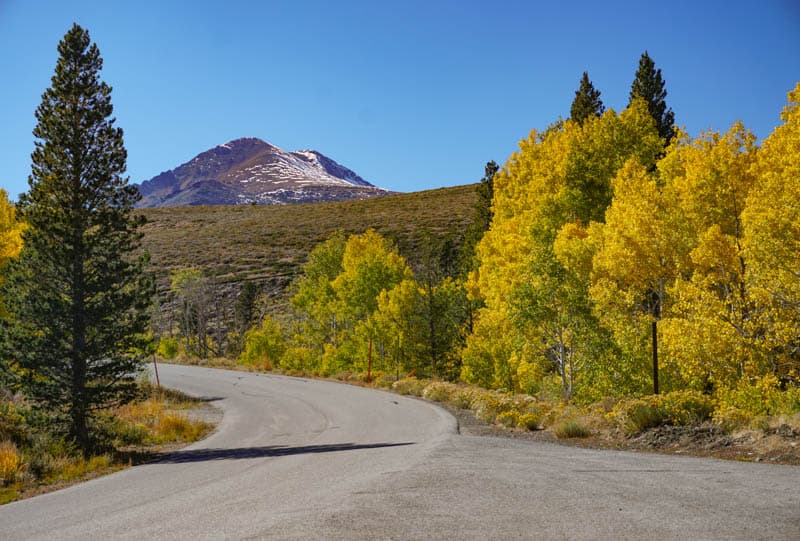 Epic California Road Trips