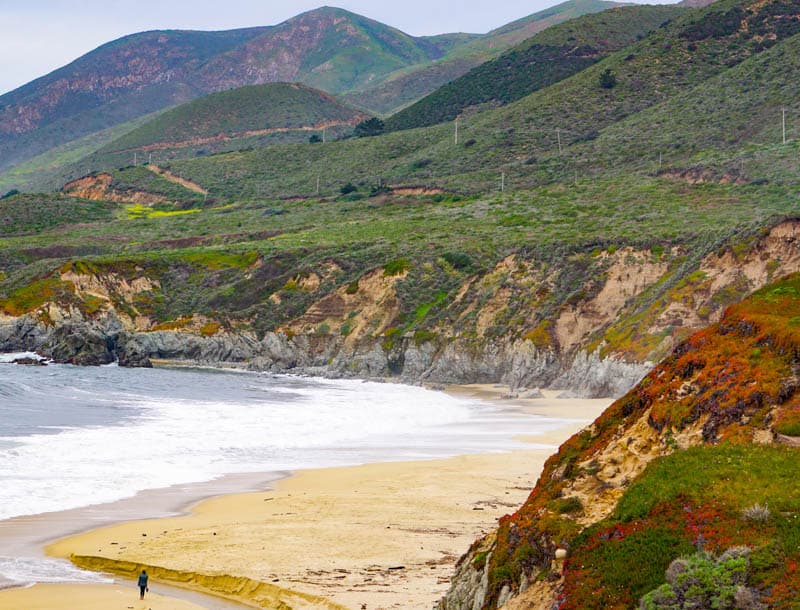 Garrapata State Beach Big Sur California