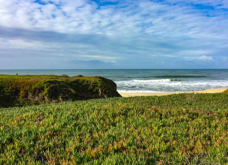 Half Moon Bay State Beach California is one of the best day trips from San Francisco you can do!