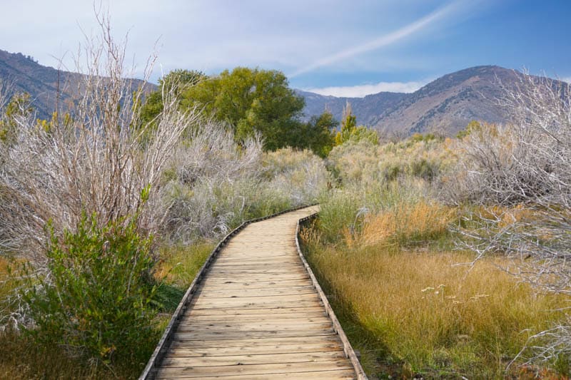 Mono Lake Boardwalk Trail Lee Vining California