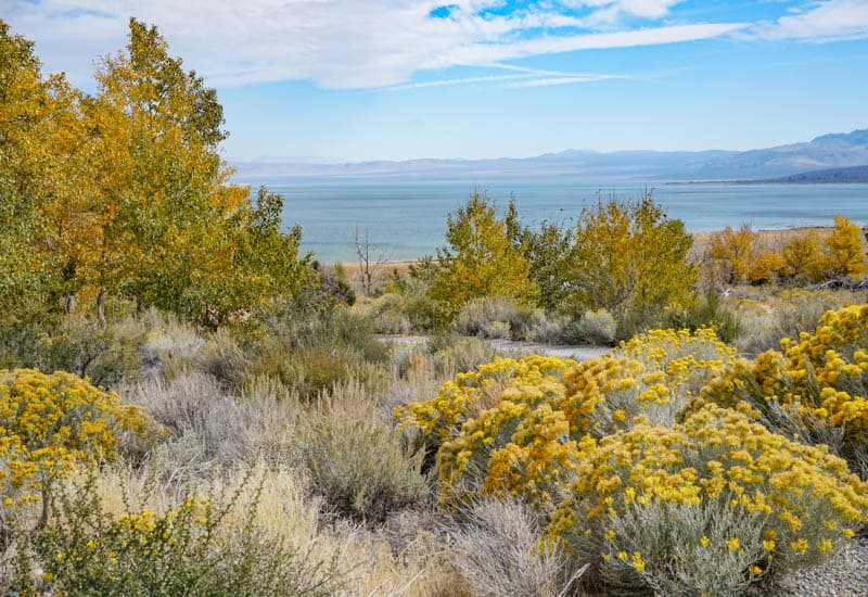 Mono Lake Eastern Sierra California