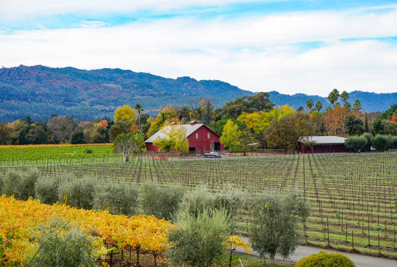 Napa Valley in November