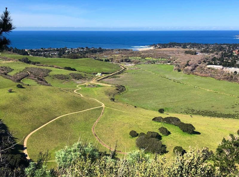 Palo Corona Park Carmel California