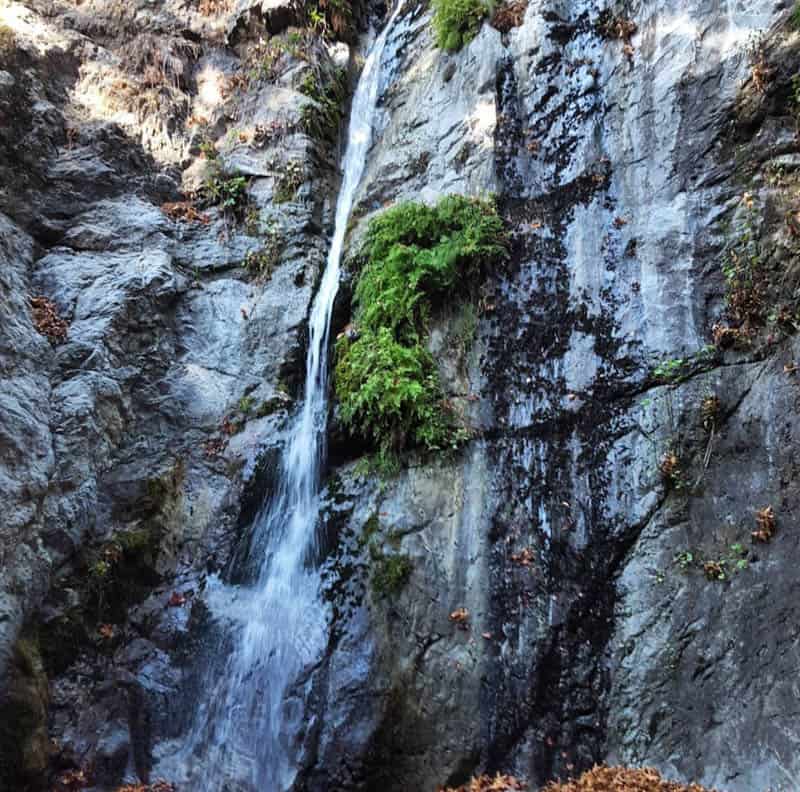 Pfeiffer Falls Big Sur California