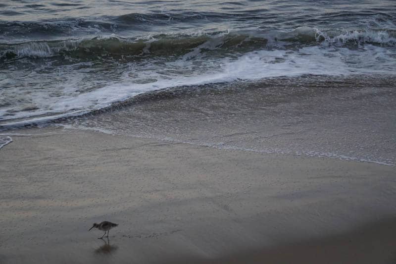 Sandy beach in Santa Barbara California