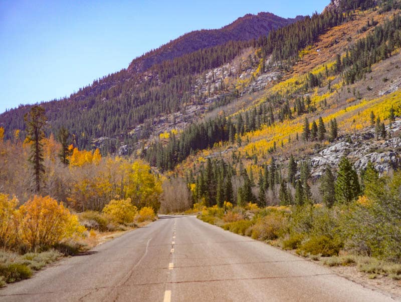 Bishop Creek Canyon California