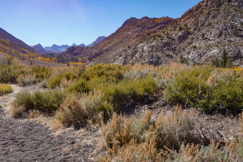 Eastern Sierra Wilderness California